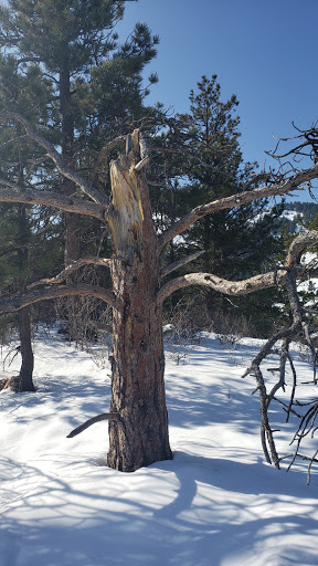 Tourist Attraction «Mount Falcon Park», reviews and photos, Castle Trail, Morrison, CO 80465, USA