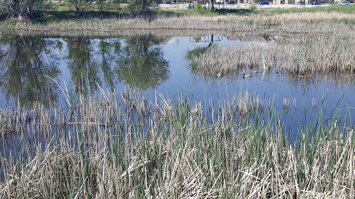 Nature Preserve «Gateway Lakes Natural Area», reviews and photos, 28th Street, Greeley, CO 80634, USA