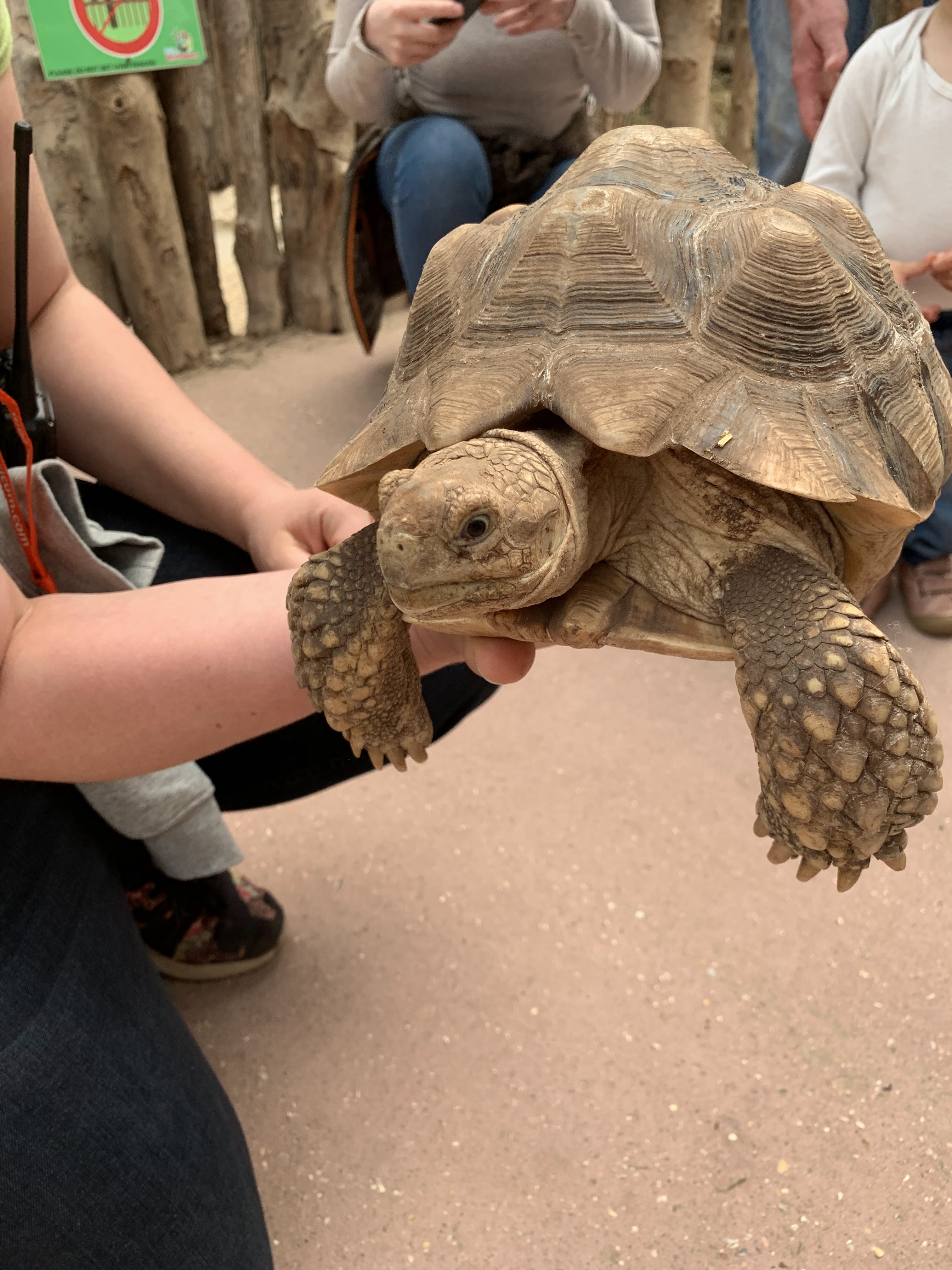 Photo n° 43 de l'avis de Angie. fait le 15/05/2019 à 11:27