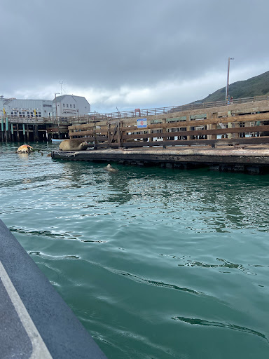 SLO.Tours image