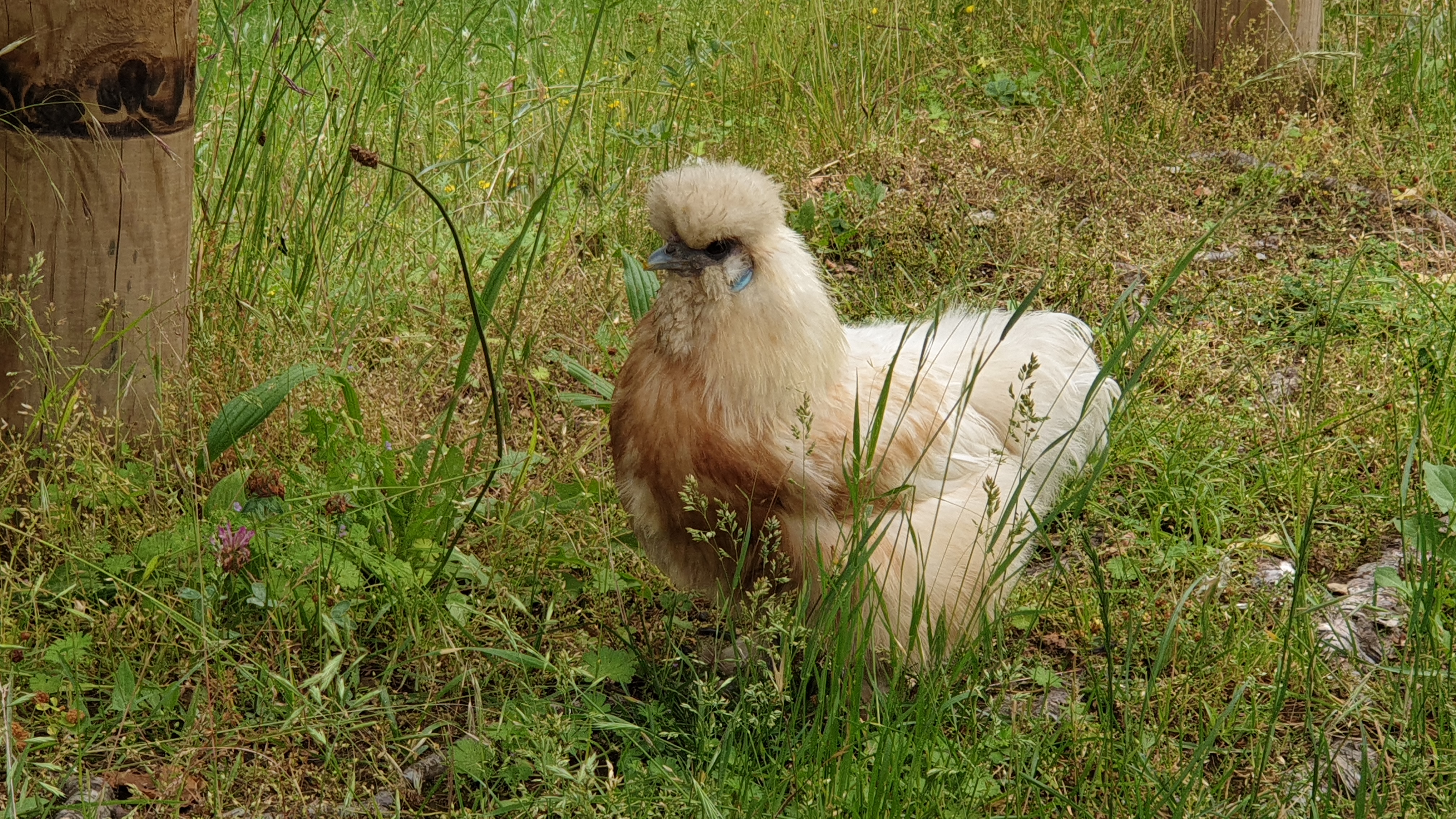 Photo n° 14 de l'avis de Jean-Louis.l fait le 05/07/2021 à 12:57