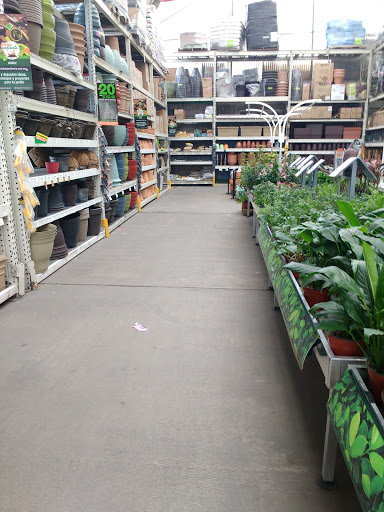 The Home Depot Mixcoac