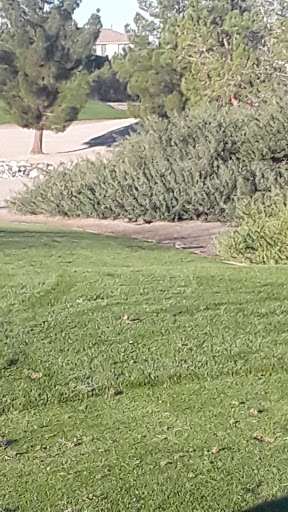 Golf Course «Chimera Golf Club», reviews and photos, 901 Olivia Pkwy, Henderson, NV 89011, USA