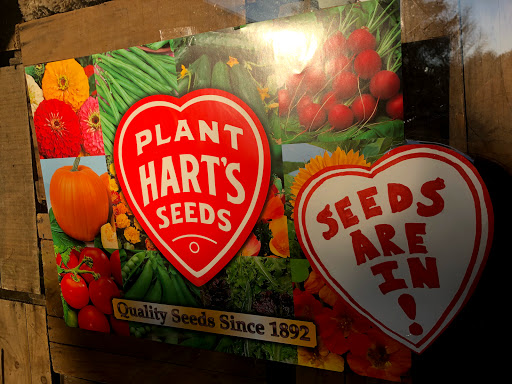 Florist «The Garden», reviews and photos, 155 Main St N, Woodbury, CT 06798, USA