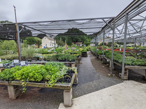 Garden Center «Woodland Gardens», reviews and photos, 168 Woodland St, Manchester, CT 06042, USA