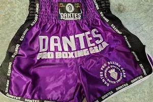 Dantes Pro Boxing Gear image