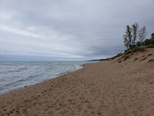 Nature Preserve «Saugatuck Harbor Natural Area», reviews and photos, Oval Dr, Saugatuck, MI 49453, USA