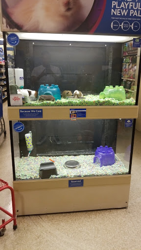 Pet Supply Store «PetSmart», reviews and photos, 1559 Merritt Blvd, Dundalk, MD 21222, USA