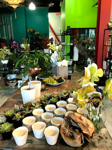 Florist «Mia fiori», reviews and photos, 5840 Legacy Cir D165, Plano, TX 75024, USA