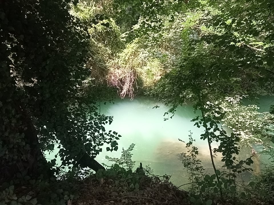 Photo n° 9 de l'avis de Lucas.e fait le 19/07/2023 à 15:01