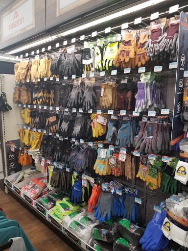 Home Improvement Store «Tractor Supply Co.», reviews and photos, 90 Marketplace Dr, Newnan, GA 30265, USA