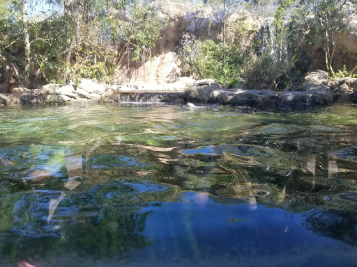 Zoo «Central Florida Zoo & Botanical Gardens», reviews and photos, 3755 NW Hwy 17-92, Sanford, FL 32771, USA