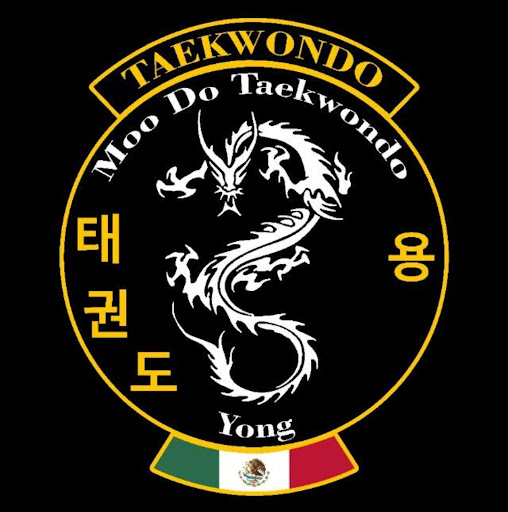 Taekwondo Yong