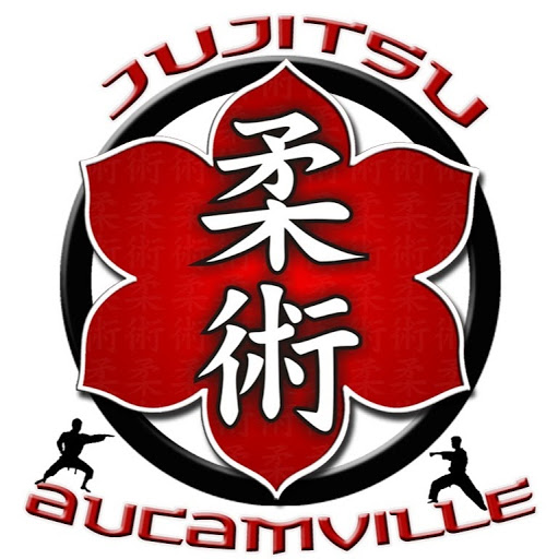 Jujitsu Aucamville
