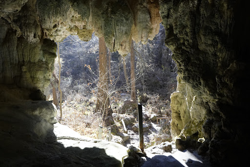 Non-Profit Organization «Westcave Outdoor Discovery Center», reviews and photos, 24814 Hamilton Pool Rd, Round Mountain, TX 78663, USA