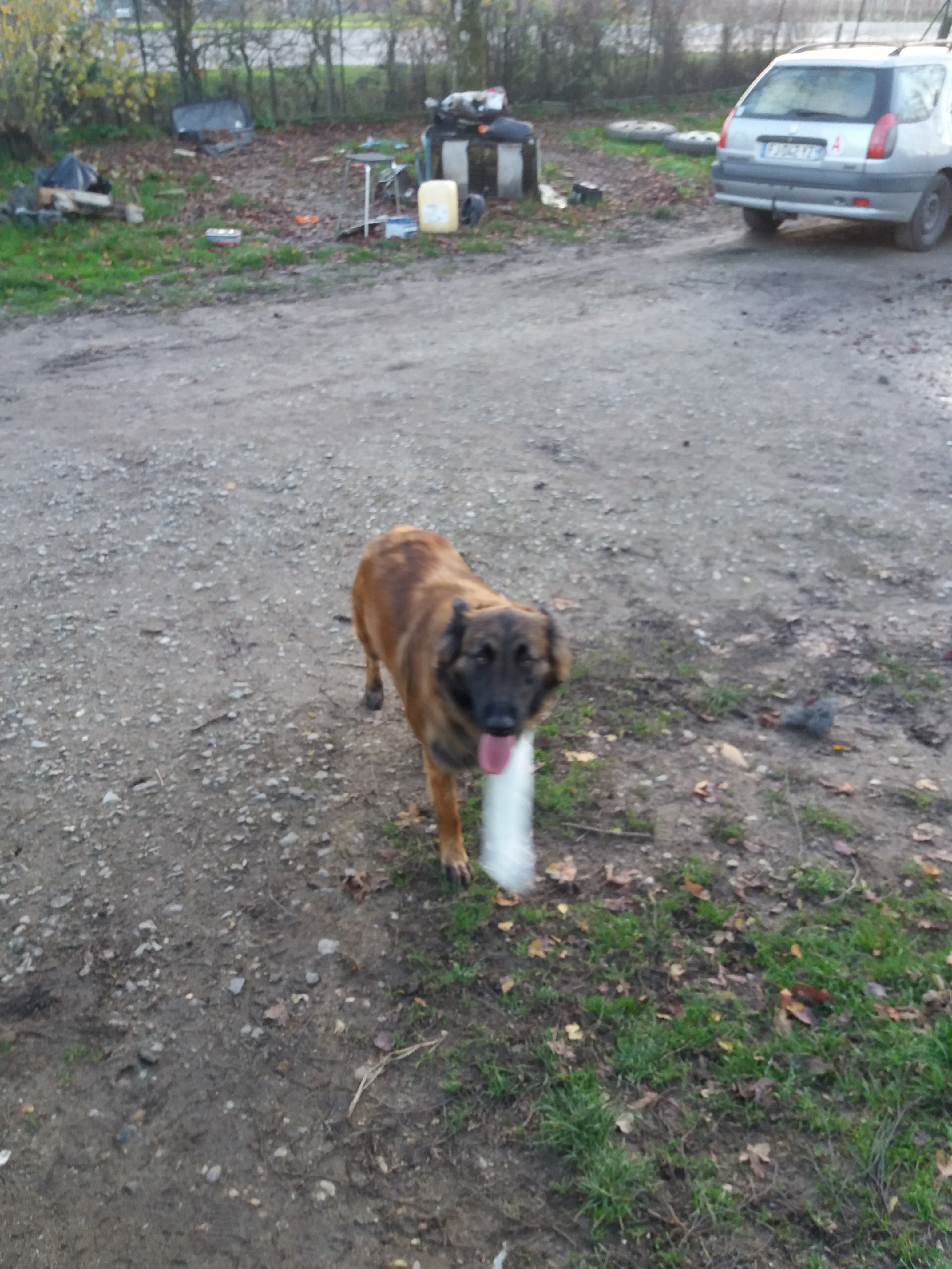 Photo n° 1 de l'avis de Isabelle.a fait le 25/02/2020 à 00:58