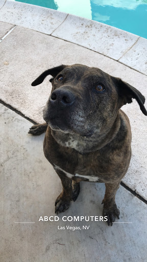 Computer Repair Service «ABCD Computers Home Service-17yrs in las Vegas», reviews and photos, 6625 Navio Dr, Las Vegas, NV 89103, USA