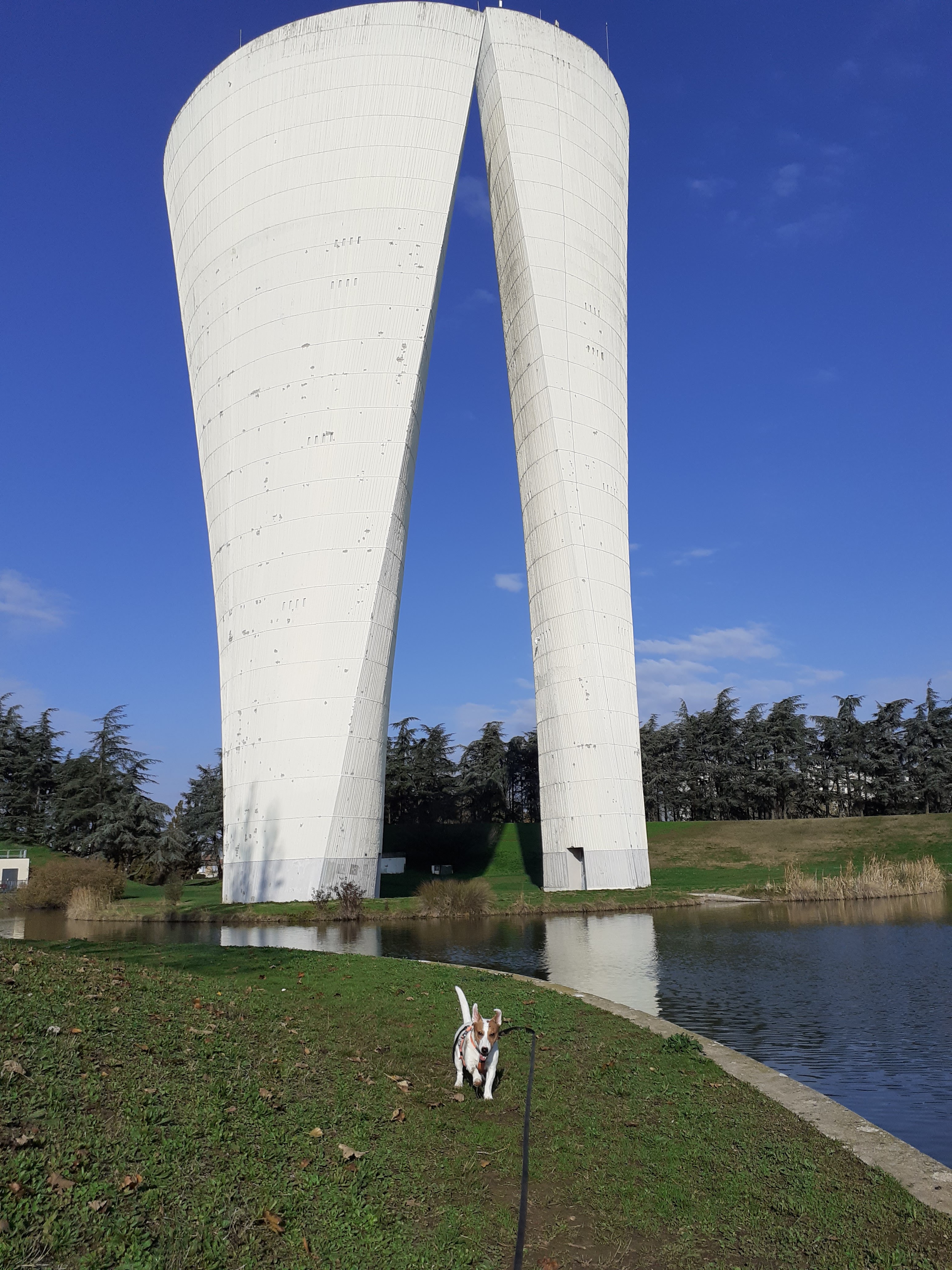 Photo n° 4 de l'avis de A. fait le 12/11/2020 à 08:34