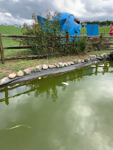 Farm «Clarks Elioak Farm LLC», reviews and photos, 10500 Clarksville Pike, Ellicott City, MD 21042, USA