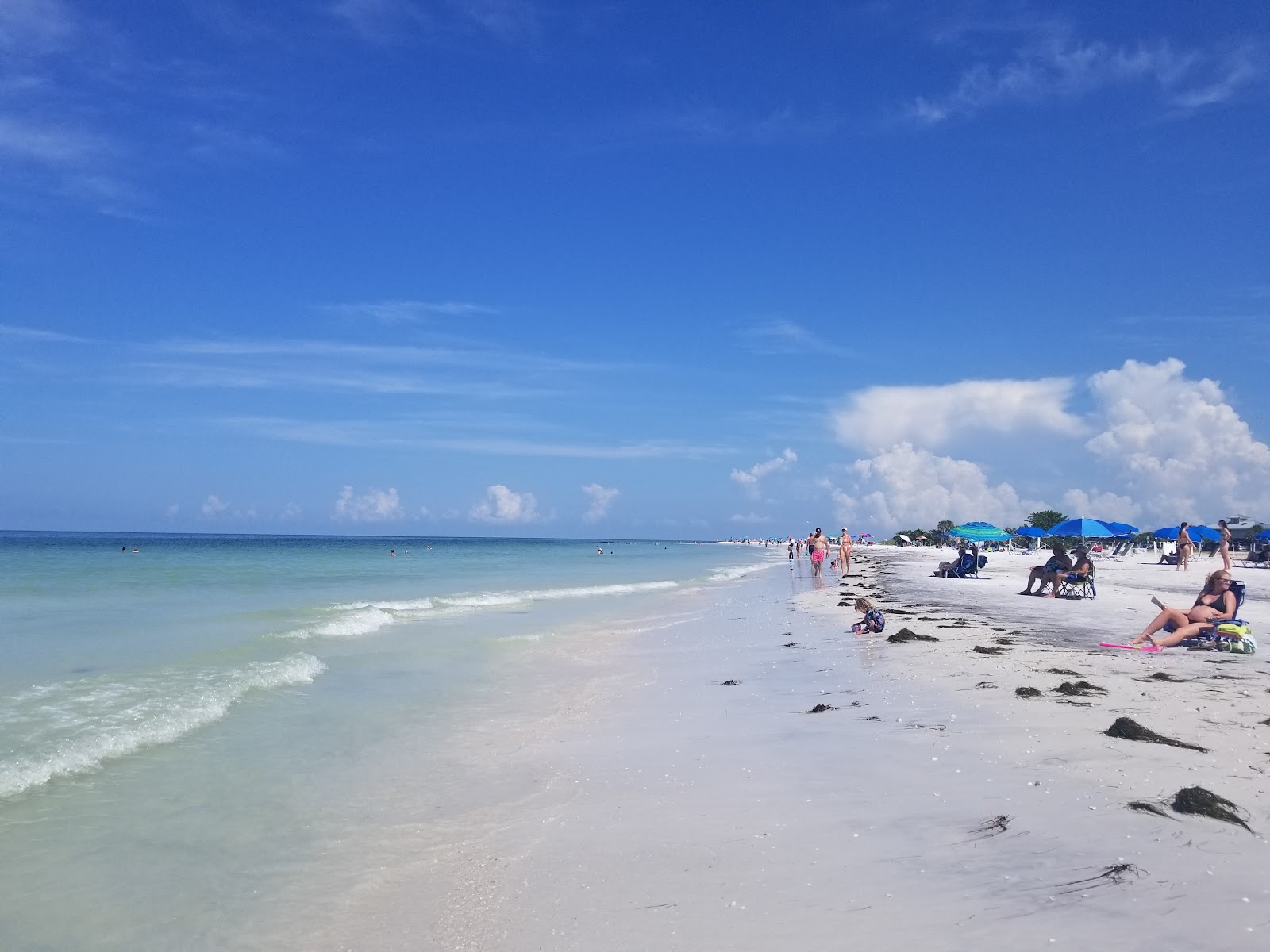 Foto av Honeymoon Island Beach med vit sand yta