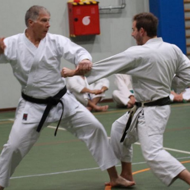 Shinkai Karate Club