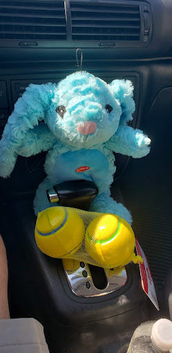 Pet Supply Store «Pet Supplies Plus», reviews and photos, 471 Boston Post Rd, Orange, CT 06477, USA