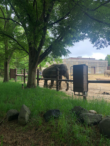 Tourist Attraction «Elephant Trails», reviews and photos, 3001 Connecticut Ave NW, Washington, DC 20008, USA