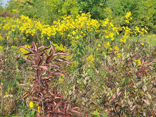 Nature Preserve «Greenbelt Forest Preserve», reviews and photos, 1110 S Green Bay Rd, North Chicago, IL 60035, USA