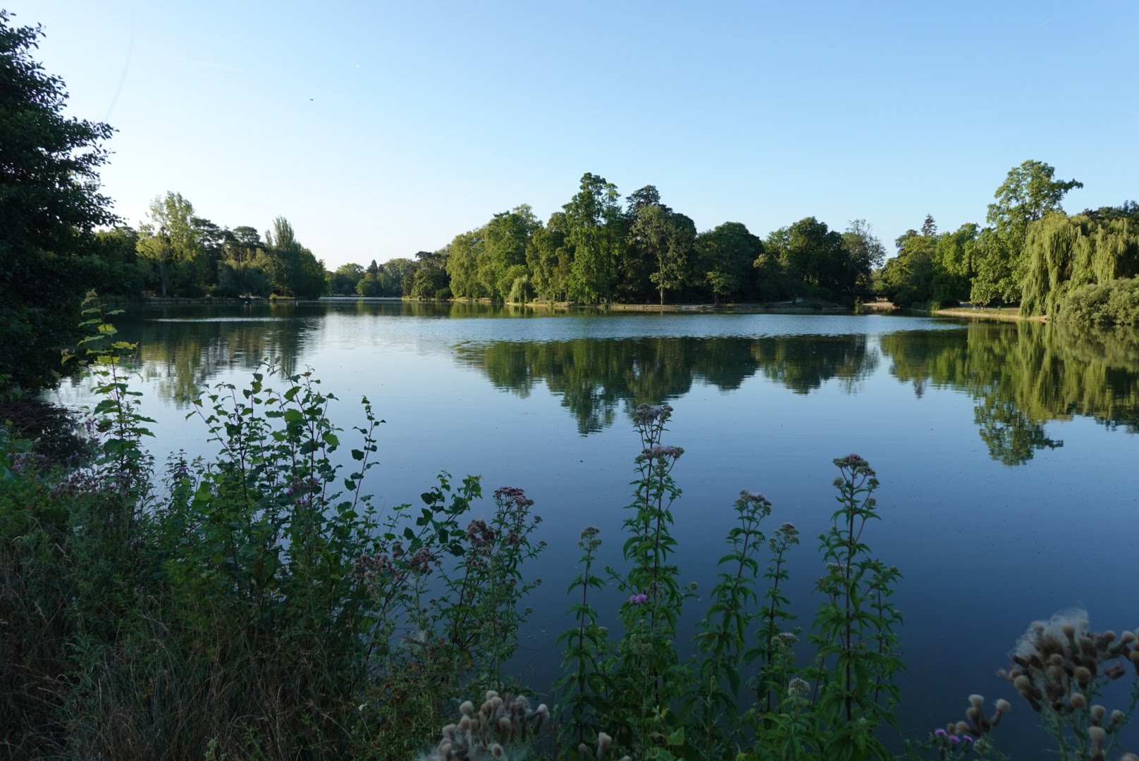Photo n° 2 de l'avis de D. fait le 18/07/2023 à 18:56