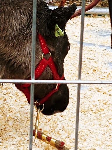 Produce Market «Welsh Heritage Farms», reviews and photos, 20758 528th Ave, Lake Crystal, MN 56055, USA