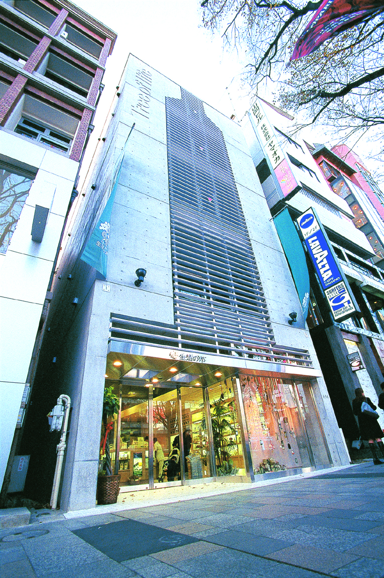 生活の木 原宿表参道店