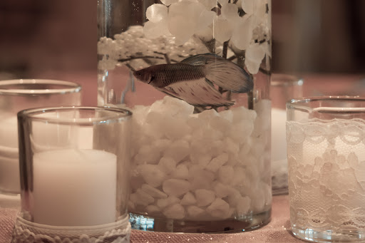 Caterer «Ultimate Caterers Inc», reviews and photos, Ultimate Caterers Inc, 52 N Main St # C, Marlboro Township, NJ 07746, USA