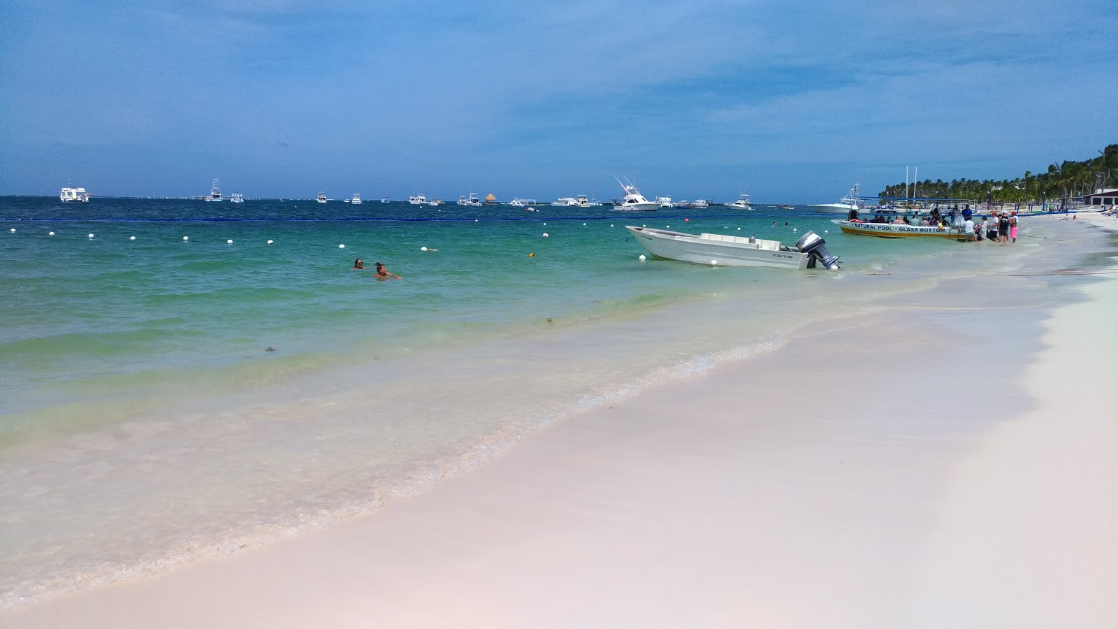 Punta Cana Plajı'in fotoğrafı ve yerleşim
