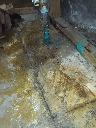 Plumber «Roto-Rooter Plumbing & Drain Services», reviews and photos, 10007 Denison Ave, Cleveland, OH 44111, USA