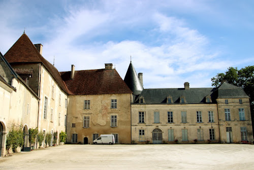 Chateau de Ricey Bas à Les Riceys