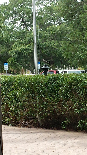 Golf Course «Dunedin Golf Club», reviews and photos, 1050 Palm Blvd, Dunedin, FL 34698, USA