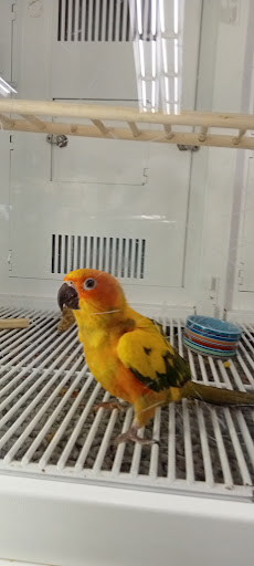 Pet Supply Store «Petco Animal Supplies», reviews and photos, 474 228th Ave NE, Sammamish, WA 98074, USA