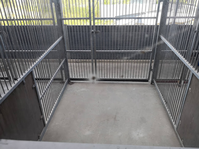 Lilleriscenter Morsø Dyrepension & Internat - Hundetræner