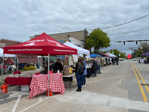 Insurance Agency «Holly Thomason - State Farm Insurance Agent», reviews and photos