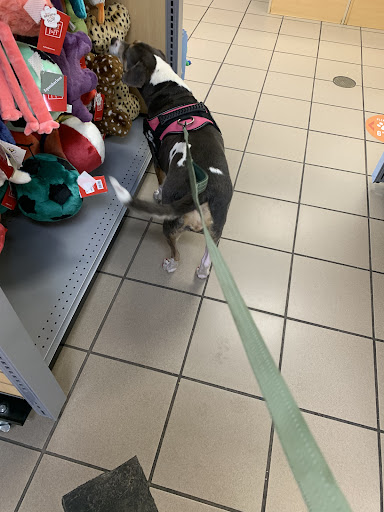 Pet Supply Store «Treats Unleashed», reviews and photos, 306 Mid Rivers Center, St Peters, MO 63376, USA