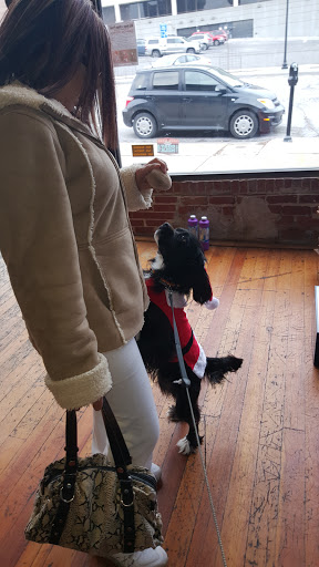 Pet Groomer «That Dog Wash», reviews and photos, 1401 Jackson St, Omaha, NE 68102, USA