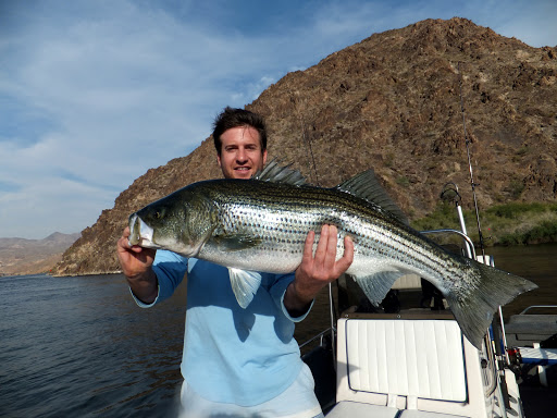 Las Vegas Fishing Tours