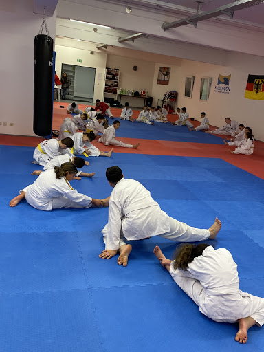 Academies to learn self defense in Frankfurt