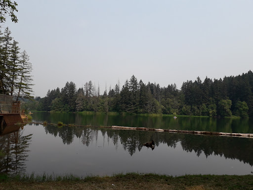 Produce Market «Camas Produce», reviews and photos, 2940 NE Everett St, Camas, WA 98607, USA