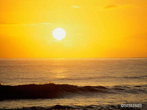 Công ty cổ phần tư vấn Công nghiệp - Điện Quảng Trị