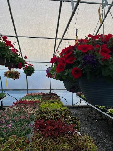 Florist «TG Designs», reviews and photos, 19231 Longmeadow Rd, Hagerstown, MD 21742, USA