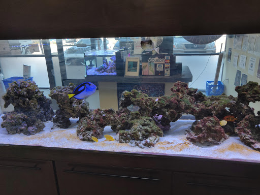 Tropical Fish Store «Exotic Aquatics», reviews and photos, 2929 Custer Rd #317, Plano, TX 75075, USA