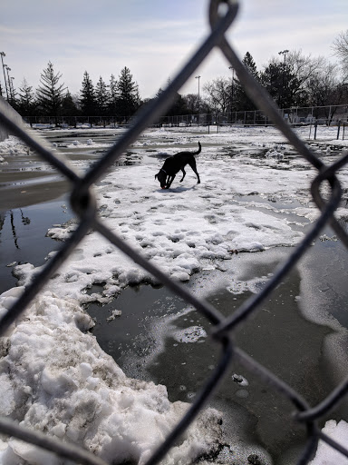 Park «Augsburg Park», reviews and photos, 7145 Wentworth Ave S, Richfield, MN 55423, USA