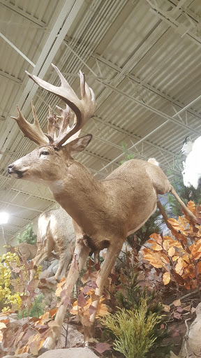 Outdoor Sports Store «Field & Stream», reviews and photos, 2000 N Neil St #2000b, Champaign, IL 61820, USA