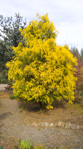 Tourist Attraction «NatureScaping Wildlife Botanical Gardens», reviews and photos, 11000 NE 149th St, Brush Prairie, WA 98606, USA